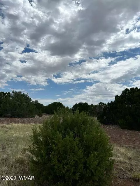 Vernon, AZ 85940,N3109 & N3102