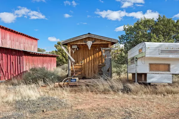 Snowflake, AZ 85937,5207 Hay Hollow Road