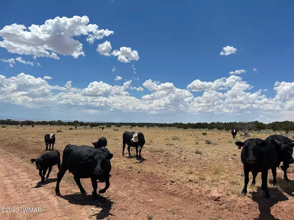 St. Johns, AZ 85936,367 N7150 (Red Sky Ranches)