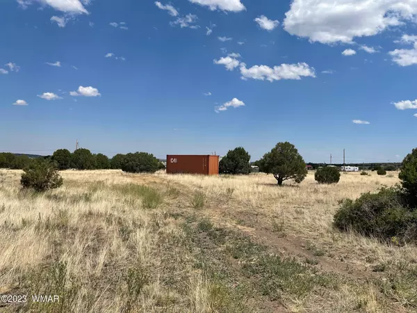 49 COUNTY RD. N2006, Nutrioso, AZ 85932