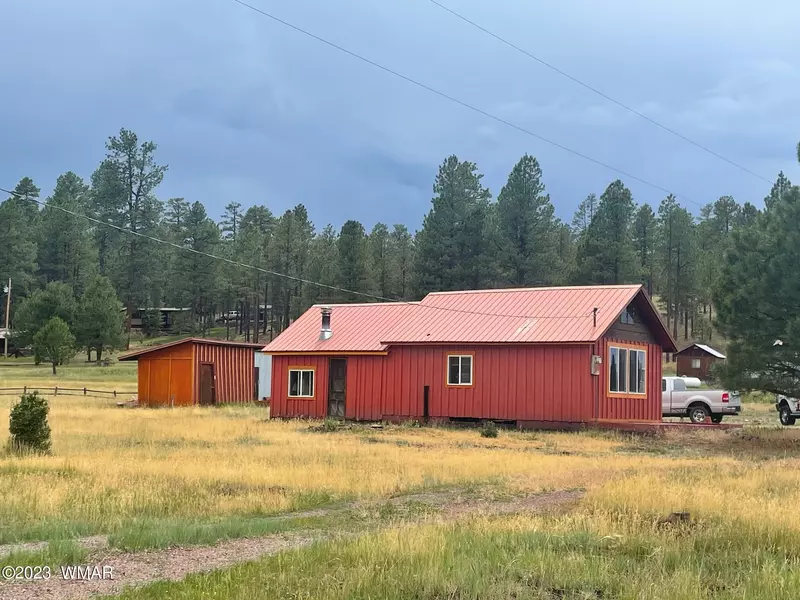 417 COUNTY RD. 2104, Alpine, AZ 85920