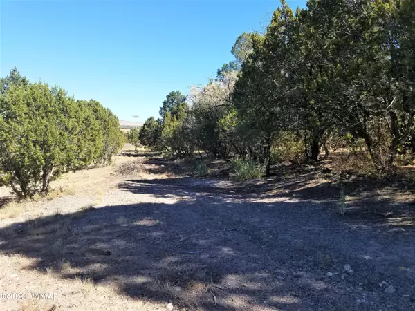 Eagar, AZ 85925,SKY CREST Drive