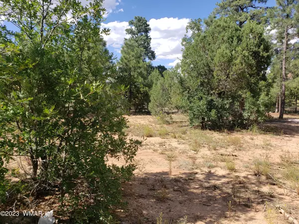 Show Low, AZ 85901,4170 W Sugar Pine Loop