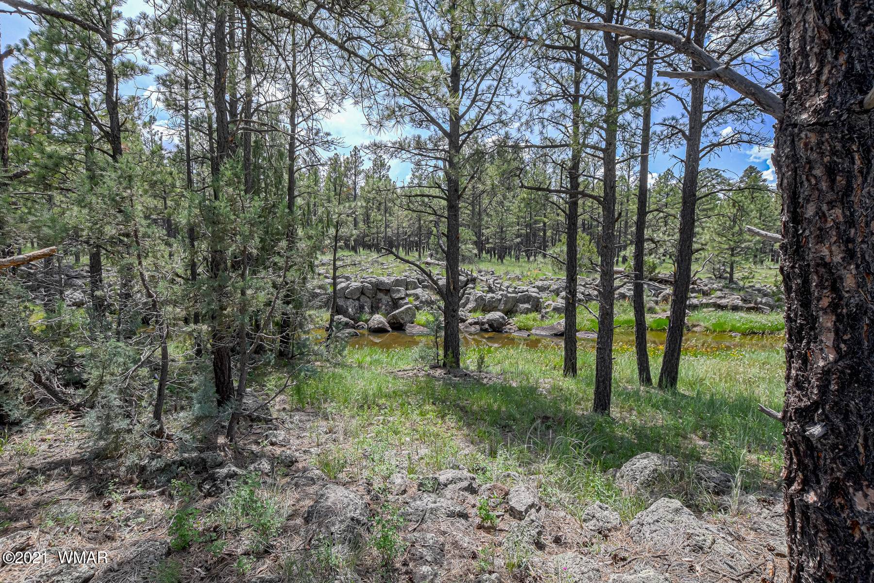 Lakeside, AZ 85929,26027 Birdsong Way