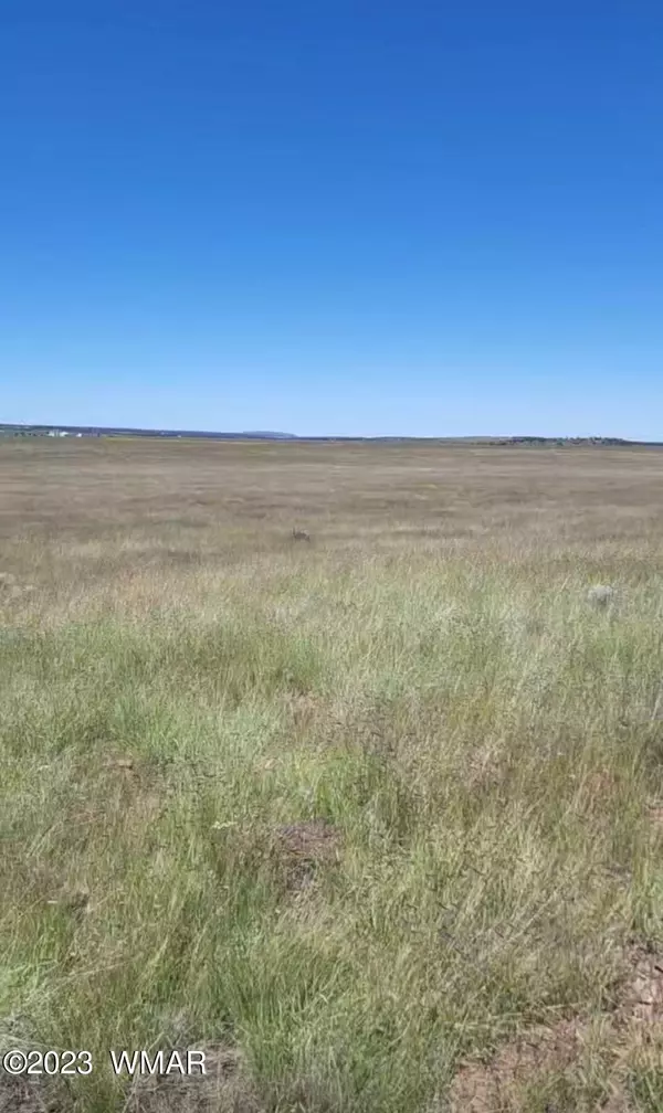 Concho, AZ 85924,107-28-073 N 3496