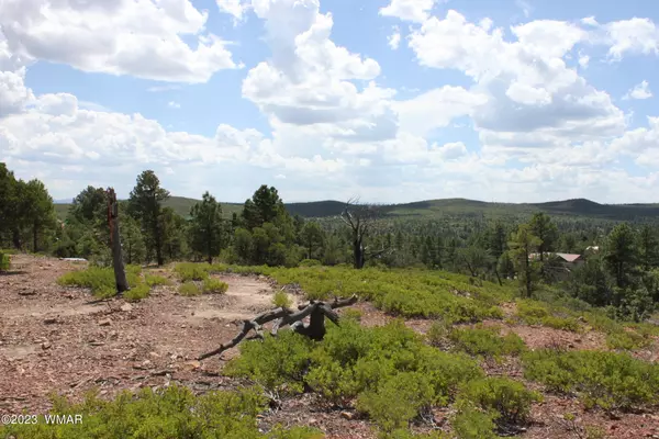 Show Low, AZ 85901,6374 Old Forest Trail