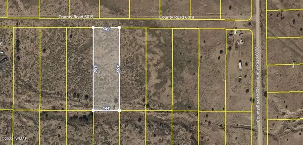 St. Johns, AZ 85936,46 County Road 6019