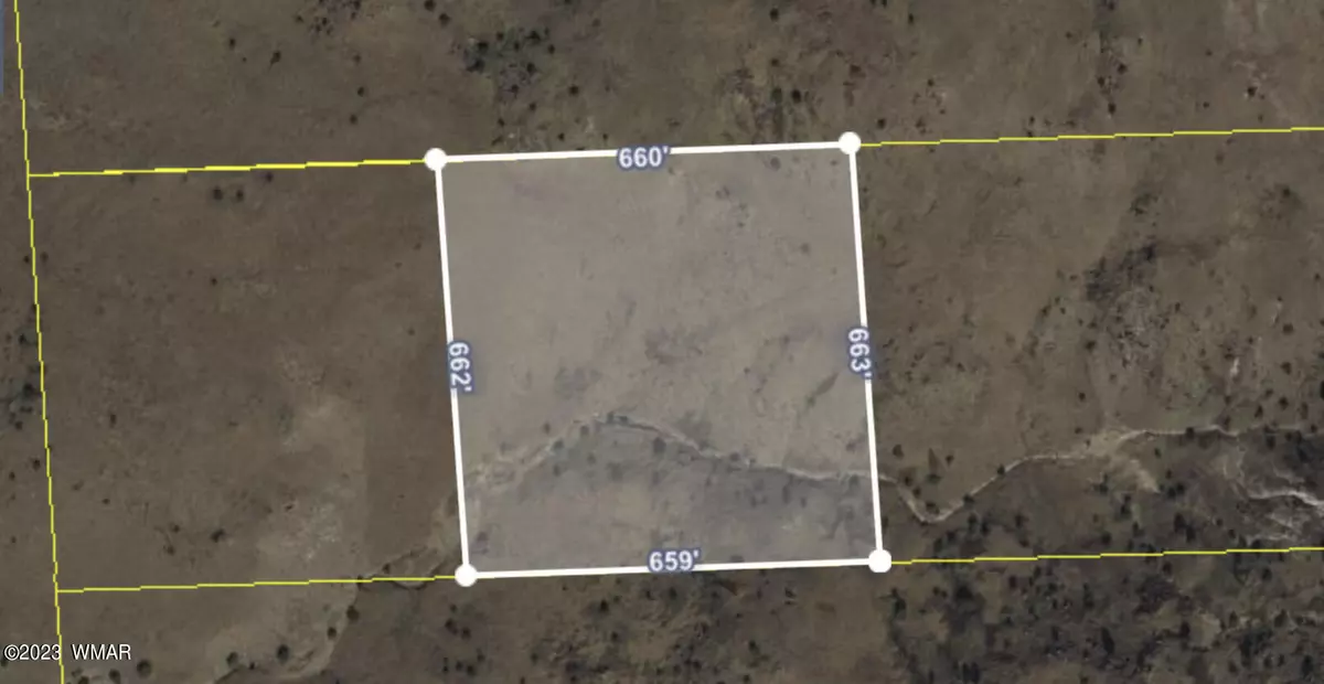 Concho, AZ 85924,Big Valley Ranches 212-13-006