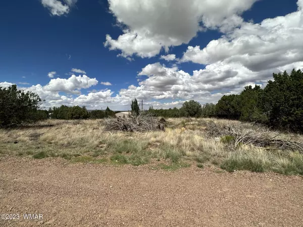 Show Low, AZ 85901,8464 Ridge Drive