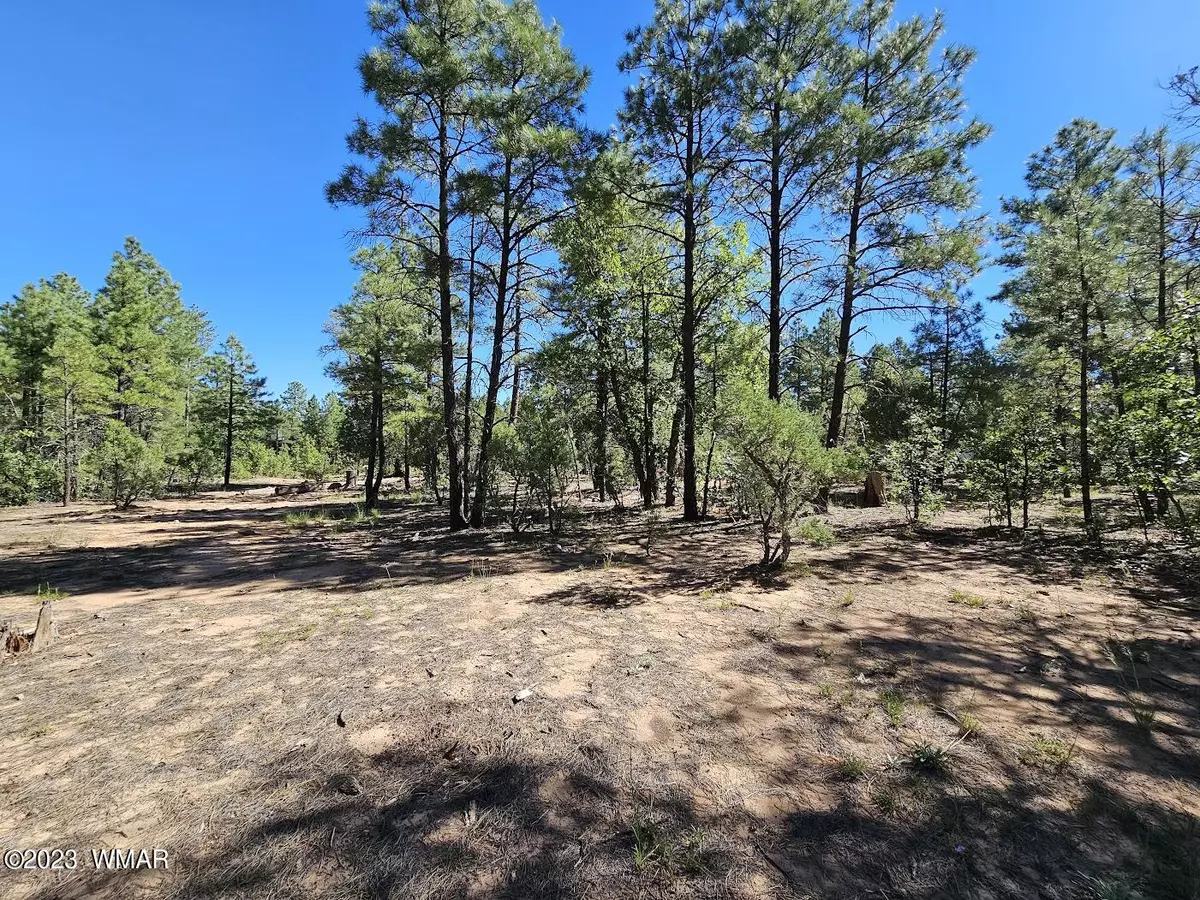 Show Low, AZ 85901,1700 S Iris Lane