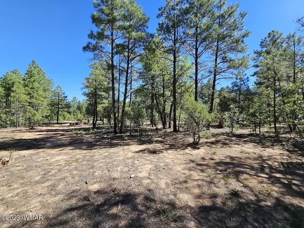 1700 S Iris Lane, Show Low, AZ 85901