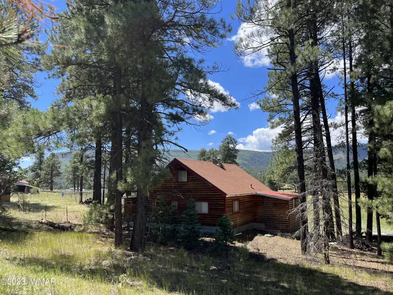 42488 US #180, Alpine, AZ 85920