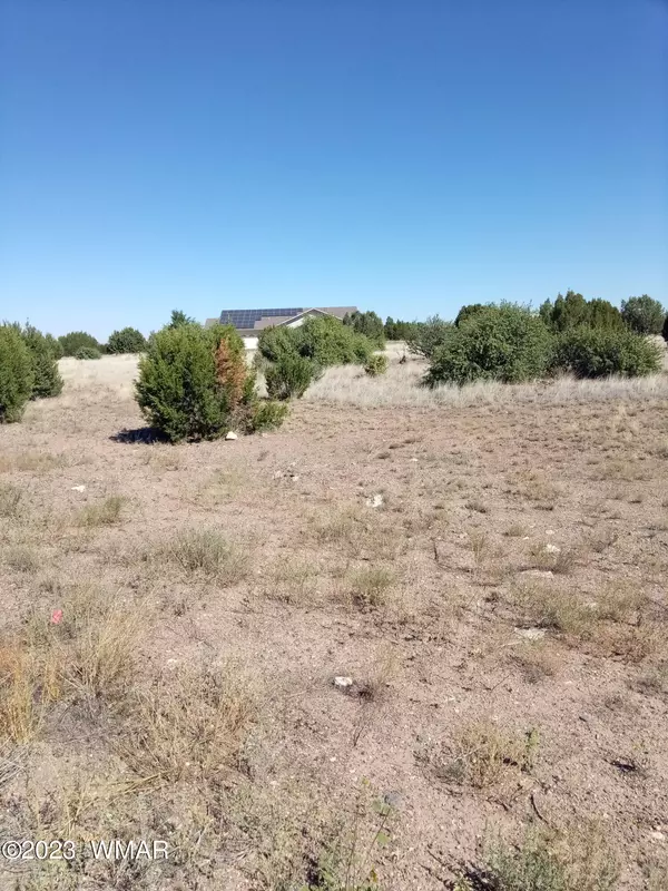 Show Low, AZ 85901,8428 Lake View Drive