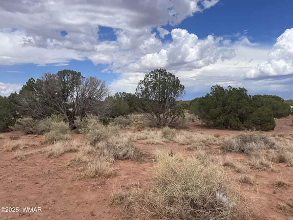 Snowflake, AZ 85937,4317 Indian Bend Road
