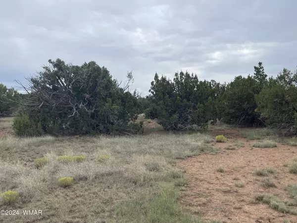 Concho, AZ 85924,236 Colorado Avenue