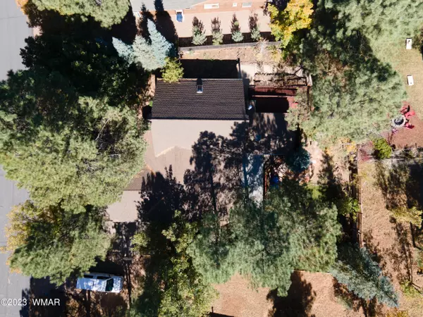 Pinetop, AZ 85935,5169 Black Panther Loop