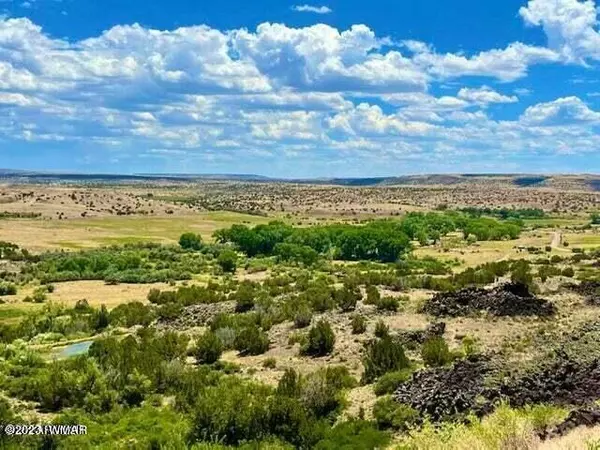 St. Johns, AZ 85936,Co Rd 4008 80 Acres