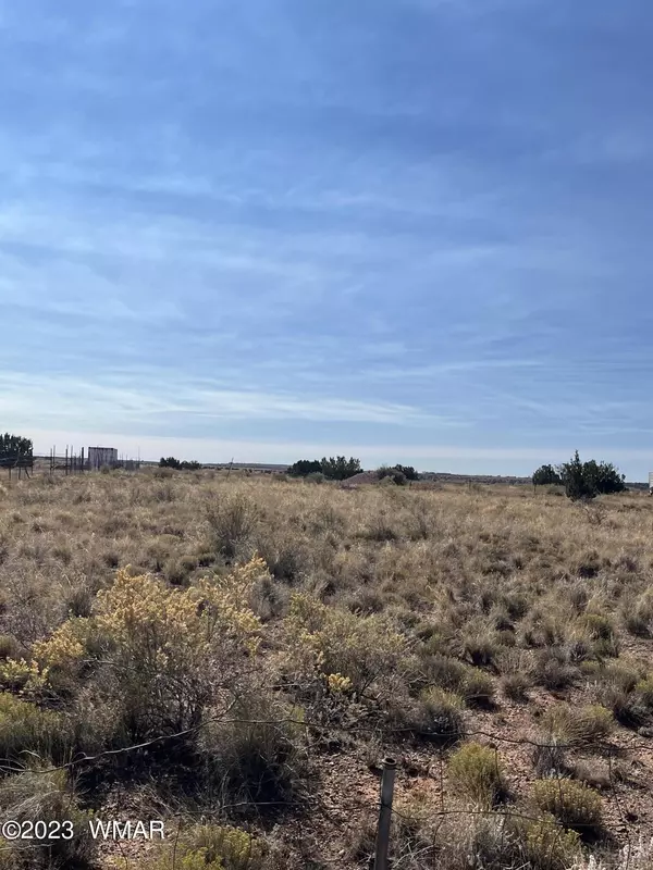 Snowflake, AZ 85937,7541 Cedar Lane