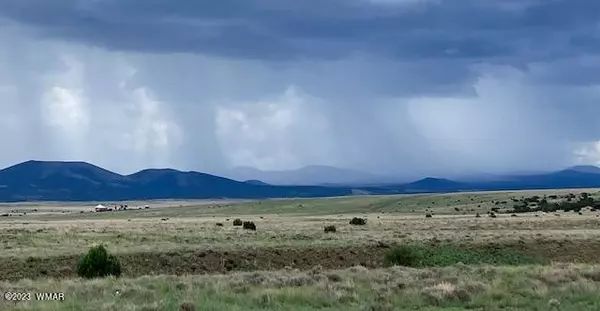 Concho, AZ 85924,Parcel 107-53-146A