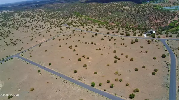 Shumway, AZ 85901,7687 Arroyo Plata Drive