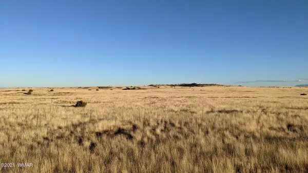 Concho, AZ 85924,50 Cedar Gulch Ranch