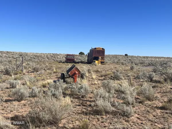 St. Johns, AZ 85936,Forgotten Trail ##1