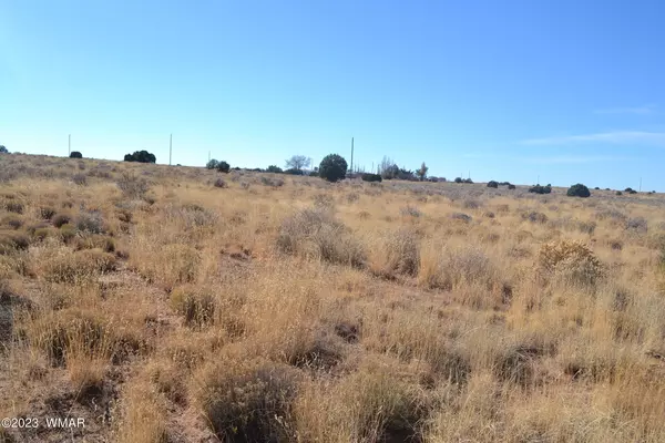 Snowflake, AZ 85937,8415 Charolais Trail