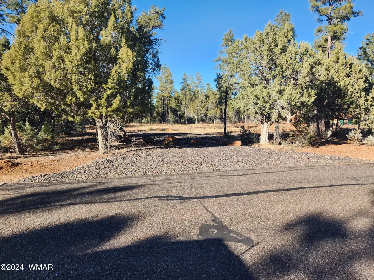 Show Low, AZ 85901,1800 S Monkshood Road