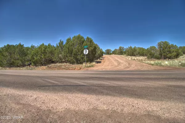 Show Low, AZ 85901,1916 Daggs Circle