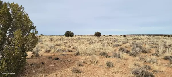 Lois Lane Lot 033S, Snowflake, AZ 85937