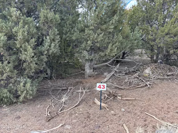 (Lot 43) N3026,  Vernon,  AZ 85940