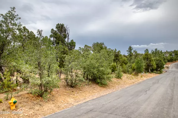 Show Low, AZ 85901,1711 S Canyon Ridge Trail