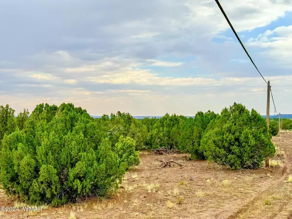 Show Low, AZ 85901,4 Silver Lake 14 Acres