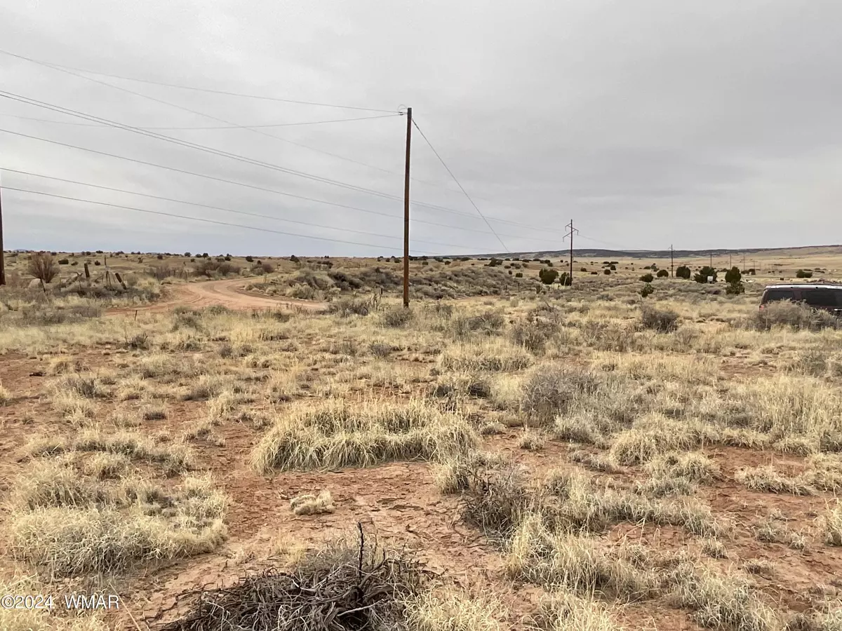 St. Johns, AZ 85936,1 Co Rd 6015