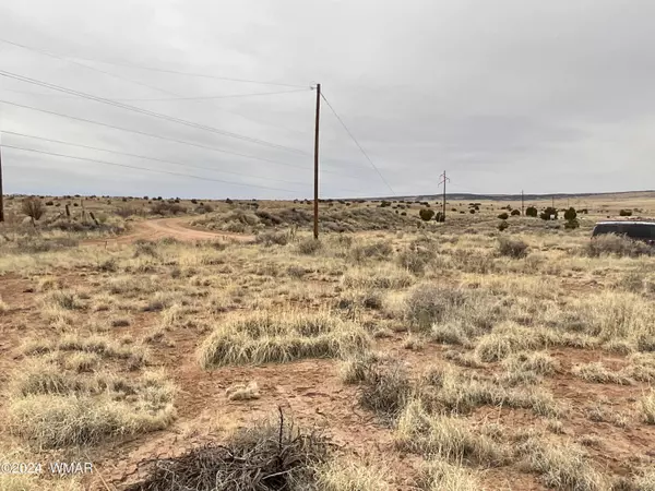 1 Co Rd 6015,  St. Johns,  AZ 85936