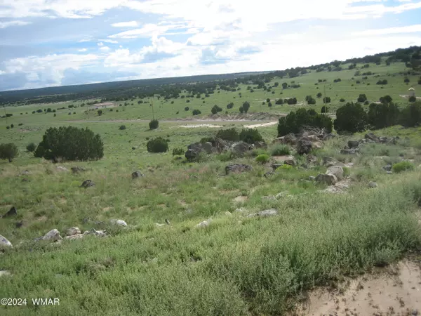 Concho, AZ 85924,Lot 44 Windsor Valley Ranch