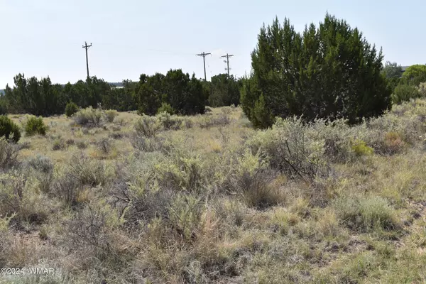 Concho, AZ 85924,34 Alpine Lane
