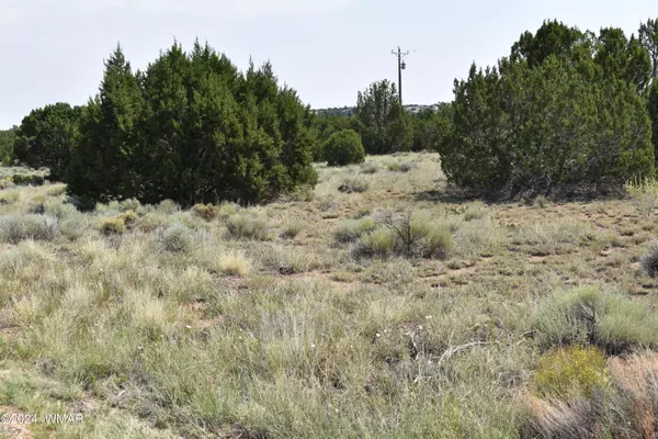 Concho, AZ 85924,30 Dawn Lane