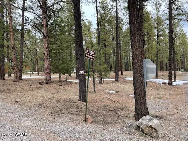 Greer, AZ 85927,41 N 1068 Street