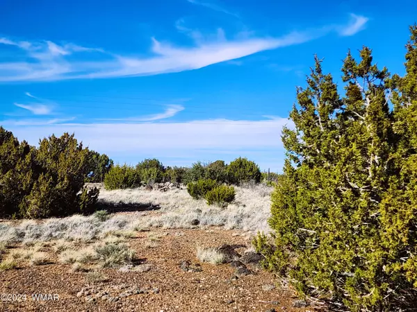 Concho, AZ 85924,31 County Road 5079