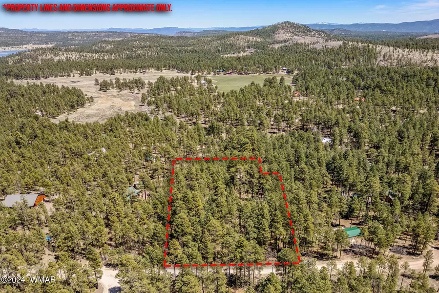 14 Co Rd 2134, Alpine, AZ 85920