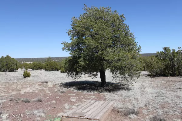 18 County Road N8190, Concho, AZ 85924