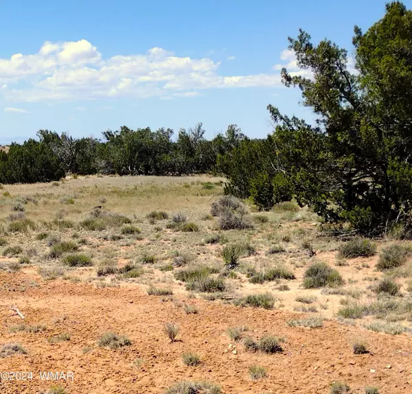 St. Johns, AZ 85936,46 Witch Well Ranches