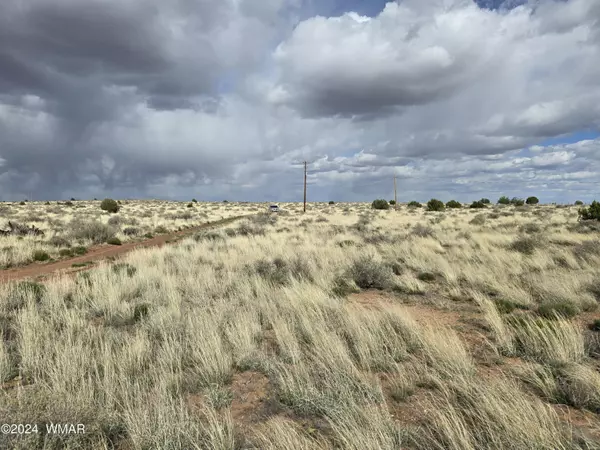 Snowflake, AZ 85937,5050 Hay Hollow Road