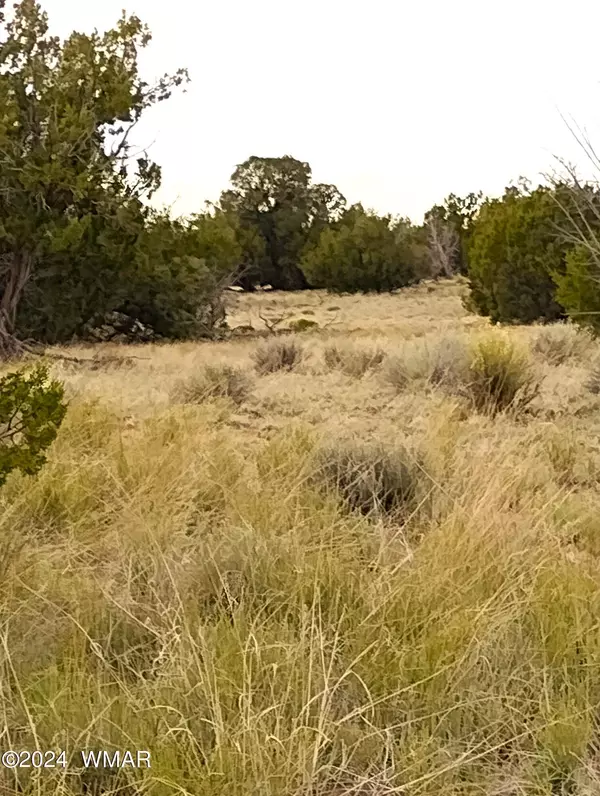 St. Johns, AZ 85936,94 Witch Well Ranches