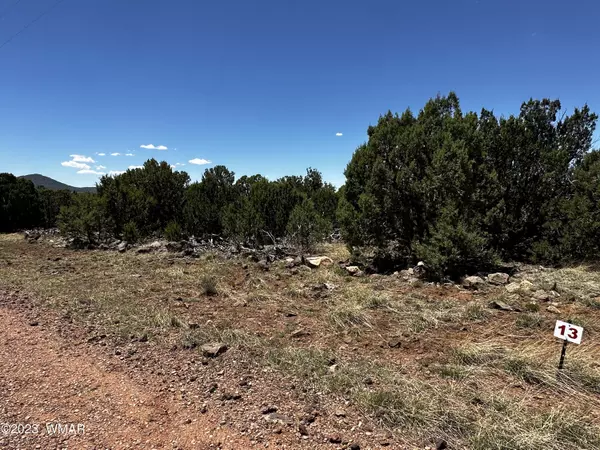 Vernon, AZ 85940,13 ACR 3029