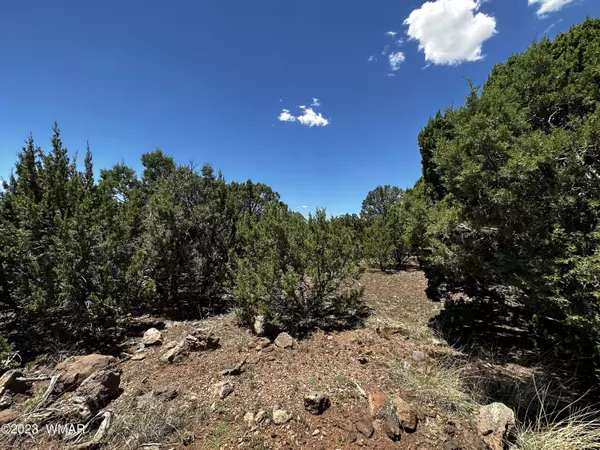 Vernon, AZ 85940,13 ACR 3029