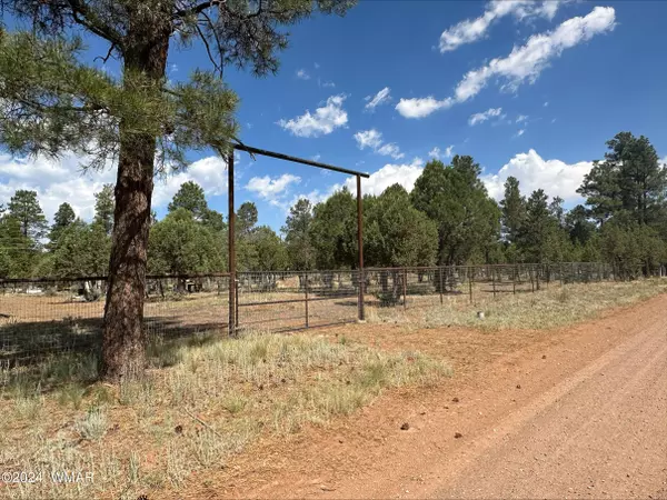 2864 Deer Trail, Overgaard, AZ 85933