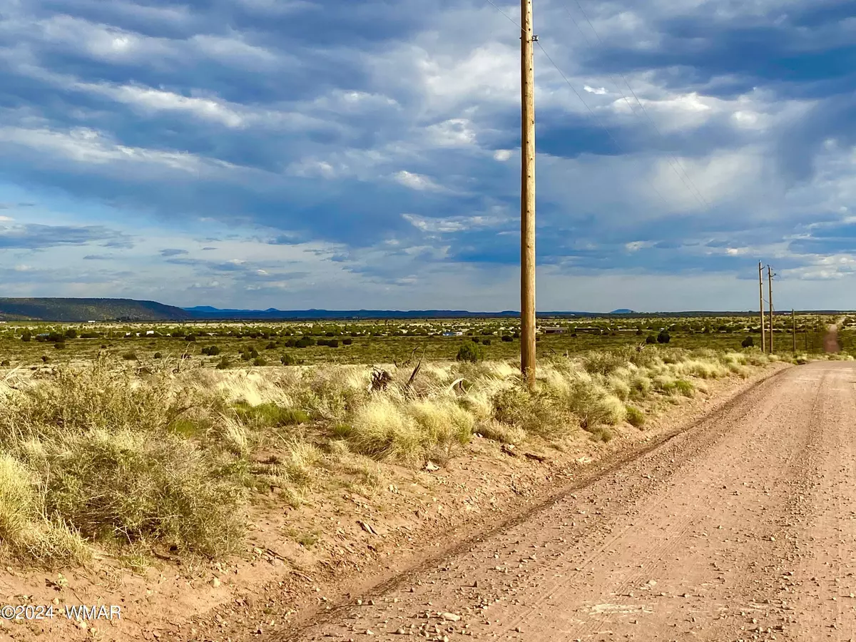 Snowflake, AZ 85937,5083 Hay Hollow Road