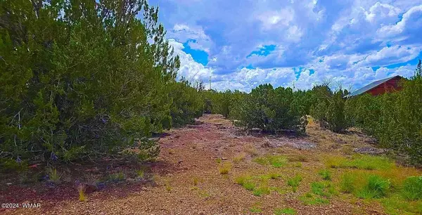 1903 Ponce Place, Show Low, AZ 85901